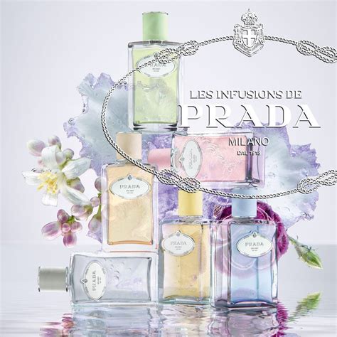 prada les infusions d iris|Prada infusion d'iris discontinued.